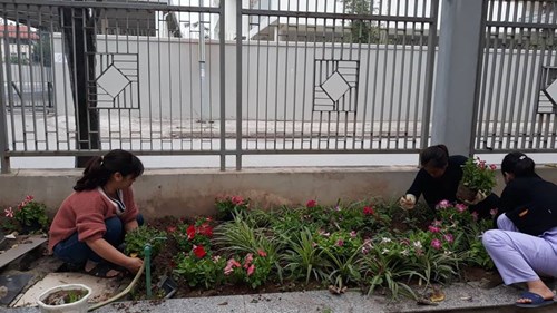 Mừng Xuân Kỷ Hợi 2019, BCH Công Đoàn và Chi Đoàn trường mầm non Gia Thượng cùng hưởng ứng Tết trồng cây